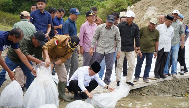 PLTA Danau Kerinci Jadi Lokasi Restocking Ikan: Ini Kata Gubernur Al Haris?