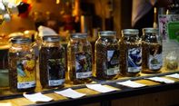 Menikmati Racikan Kopi Ala Klinik Kopi Jogja