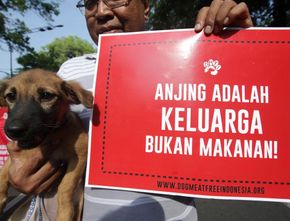 Mengejutkan! Dalam Sebulan 300 Anjing Diolah jadi 'Sengsu' di Cilacap