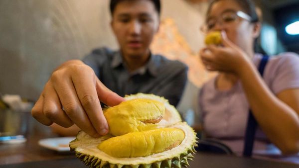 Durian Ternyata Mampu Mengisi Daya Ponsel dengan Cepat