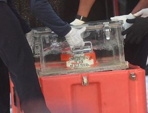 Black Box FDR Sriwijaya Air SJ-182 Ditemukan, Gini Proses KNKT Gali Data Pesawat