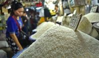 Josss! Produksi Beras Nasional Naik Terus, Kini Sudah Tembus 32 Juta Ton