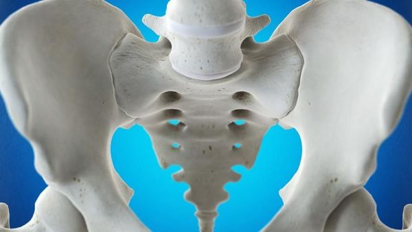 Berbeda dengan Wanita! Inilah Struktur Anatomi dan Fungsi Tulang Panggul Pria