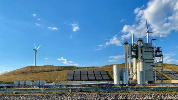 Saham Energi Terbarukan Naik, tapi Sektor Unggas Belum Terimbas Investasi Danantara?