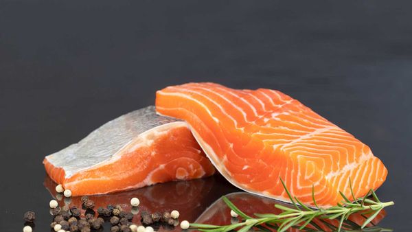 Terungkap! Kandungan Berbahaya Dalam Ikan Salmon Yang Jarang Diketahui