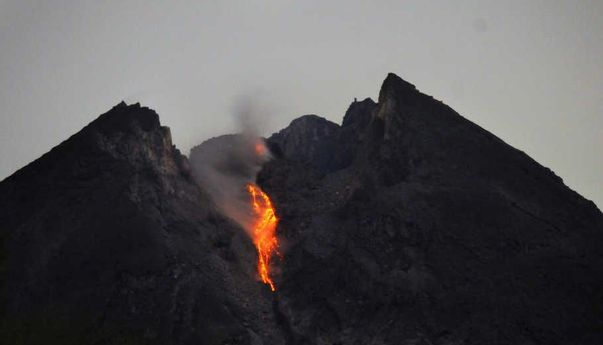 Dalam Tempo 12 Jam, Gunung Merapi Keluarkan 6 Kali Guguran Lava Pijar