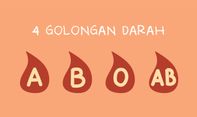 Paling Langka! Inilah 9 Urutan Jenis Golongan Darah Langka di Dunia