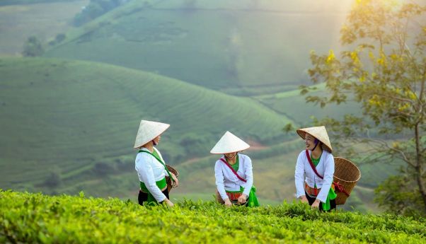 PLN EPI Perkuat Pengembangan dan Pengelolaan Biomassa untuk Energi Hijau Nasional