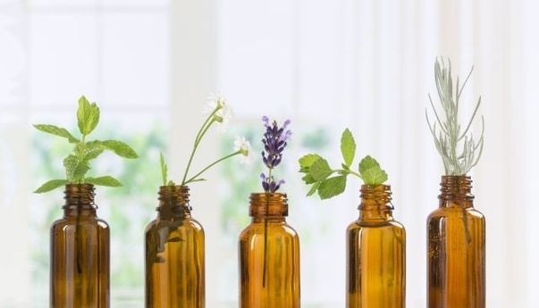 Awas, Jangan Sembarangan Gunakan Essential Oil, Ini Kata Dokter