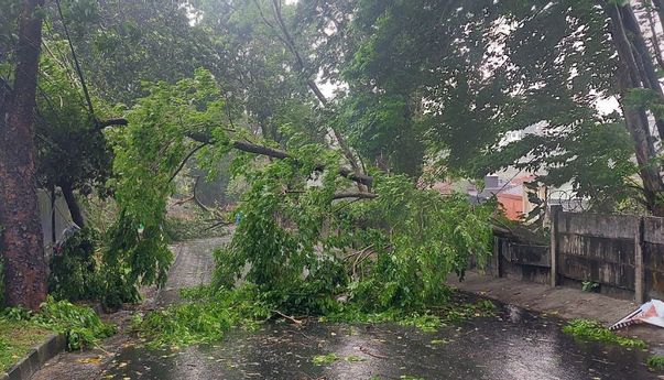 BPBD Catat 24 Kejadian Bencana di Kota Bogor usai Sejam Diguyur Hujan Deras