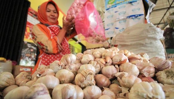 Stok Bawang Putih Langka di Pasaran, Pemprov DKI Kembali Lakukan Impor Bawang Putih