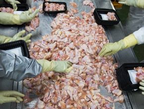 Terbaru: China Hentikan Impor Makanan Beku dari Negara dengan Kasus Covid-19 Parah, Indonesia Salah Satunya
