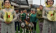 Disbud DIY Kecam Pernikahan Mewah Anjing Pakai Adat Jawa yang Viral di Medsos