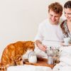 Produk Olahan dari Susu, Apakah Kucing Boleh Makan Keju?