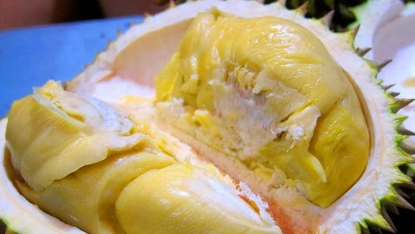 Kabupaten Poso Berhasil Jual Ratusan Ton Daging Durian Beku ke Jakarta