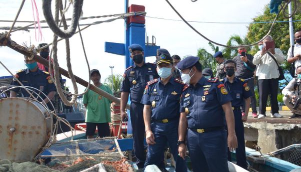 Kapal Asing Tak Cuma Incar Ikan Besar, Mulai Intai Cumi di Perairan Indonesia