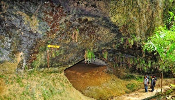 5 Destinasi Wisata Alam Rokan Hulu dengan Pemandangan Eksotis