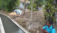 Mengejutkan! Di Sayegan Sleman, Ikan Nila Merah Dibesarkan di Selokan