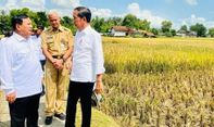 Jokowi dan Ganjar Bagikan Sertifikat Tanah Di Jateng, Sampai Becek-becekan