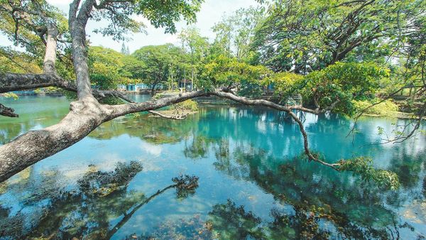 5 Pilihan Wisata Danau di Jawa Timur yang Sejuk dan Asri