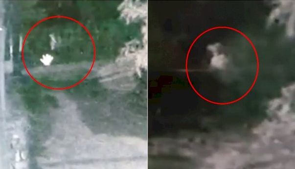 Video Pocong Dikejar Anjing Viral, Apa Anjing Bisa Lihat Hantu?