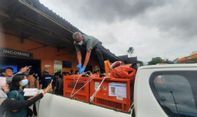 Thailand Pulangkan Kembali Tiga Orang Utan Sitaan Kasus Satwa Ilegal ke Jambi
