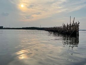 Pemprov DKI Pastikan Pagar Laut 500 Meter di Pulau C Reklamasi Tidak Dilanjutkan