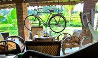 Daftar Harga Menu dan Rute Menuju Kopi Klotok Jogja