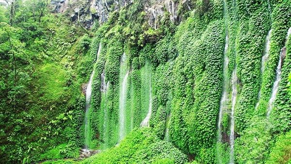 Daftar Wisata Air Terjun di Malang yang Instagramable