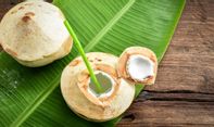 Ini Manfaat Air Kelapa Hijau untuk Orang Dewasa, Anak-anak, hingga Ibu Hamil dan Janin