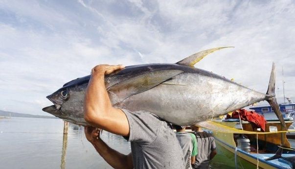 Hebat! Produk Perikanan Ambon dan Manado Bisa Langsung Meluncur ke Jepang