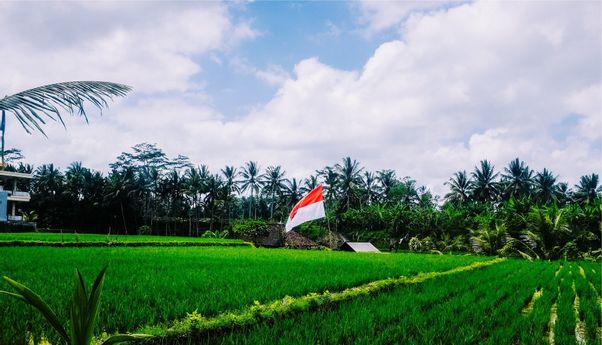 Pintu Lintas Indonesia-PNG Siap Dibuka Lagi, Goodbye Jalan Tikus