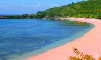 Pesona Pasir Berwarna Pink di Pantai Tangsi Lombok