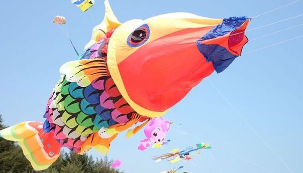 Mengenal Jenis Layang-Layang yang Bisa Kamu Mainkan