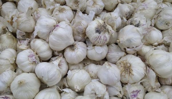 Harga Bawang Putih Meroket, dari Rp5.410 Jadi Rp47.520 per Kilo