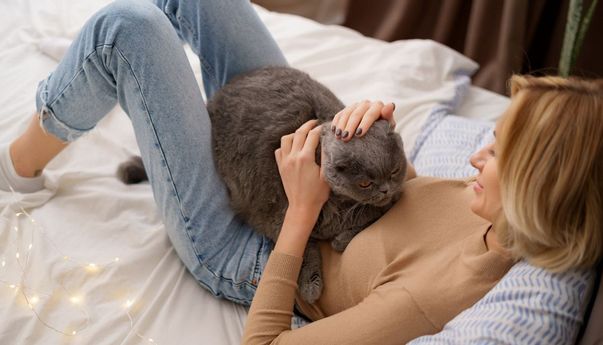 Ilmiah! Dengarkan Dengkuran Kucing Bantu Menenangkan dan Menurunkan Tekanan Darah