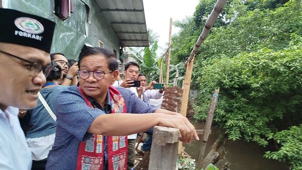 Datangi Rumah Prabowo saat Pemanggilan Calon Menteri, Ini Kata Pramono Anung