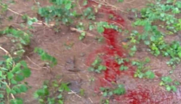 Air Warna Merah Darah Menyembur dari Tanah, Warga Pudungrejo Geger