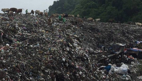 Mengejutkan! Gunung Sampah di TPST Piyungan Belum Tuntas, Siapa yang Bertanggung Jawab?