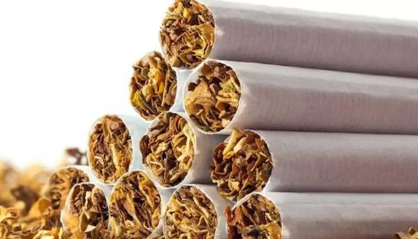 Kenaikan Cukai Rokok Besar, Sri Mulyani Akan Berikan 50% untuk Para Petani