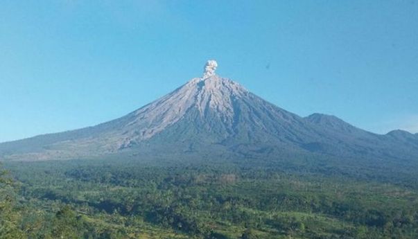 Gunung Semeru Erupsi Lagi, Tinggi Letusan Capai 1.000 Meter di Atas Puncak
