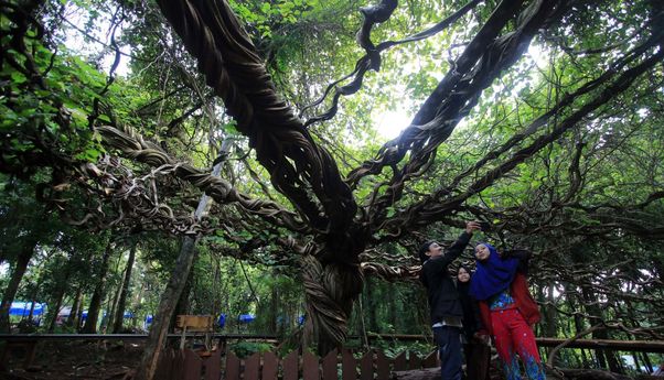 Tempat wisata di Lamongan Tidak Melulu WBL lho