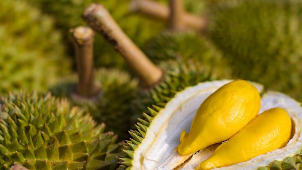 Terungkap! Manfaat Durian Bagi Ibu yang Sedang Menyusui