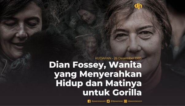 Dian Fossey, Wanita yang Menyerahkan Hidup dan Matinya untuk Gorilla