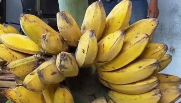 Berita Seputar Jogja: Mantan Anggota DPRD Gunungkidul Kepergok Curi Pisang di Pasar