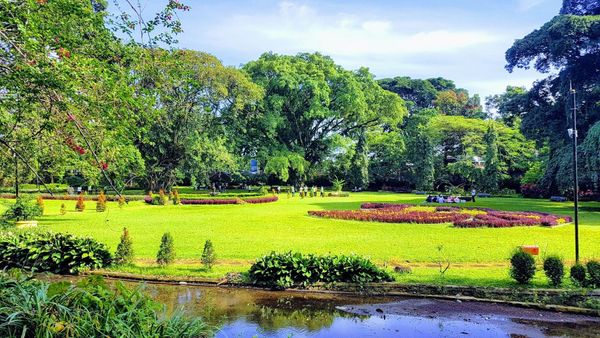 Sejarah Kebun Raya Bogor dan Fakta Menarik di Dalamnya