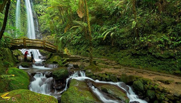 Nikmati Kesejukan di Sederet Tempat Wisata Karanganyar Solo yang Bikin Males Pulang