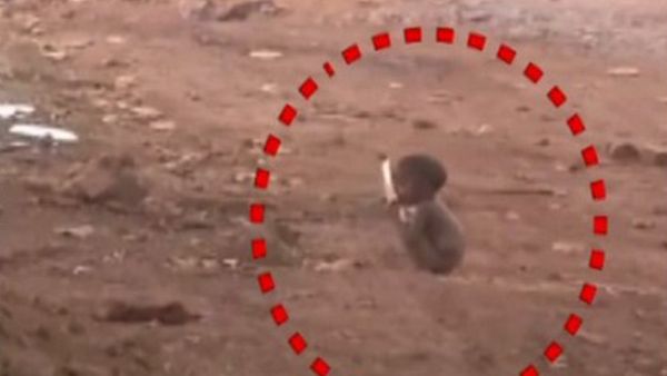 Viral Video Bocah Jilati Piring Kotor dari Tempat Sampah di India karena Kelaparan