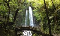 5 Air Terjun Lereng Gunung Lawu Ini Memiliki Pesona yang Tidak Terlupakan