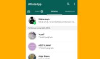 Mudah! Ini Cara Melihat Status WA Tanpa Diketahui Dia